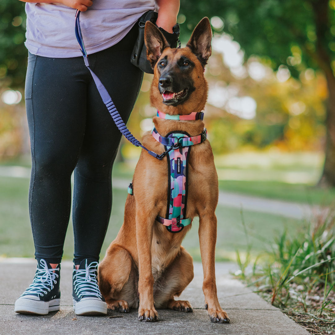 Atlas Explorer Chest Plate - Atlas