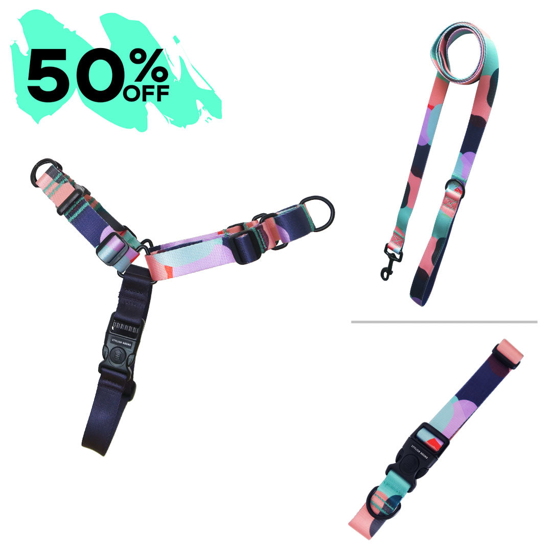 Atlas Harness Bundle