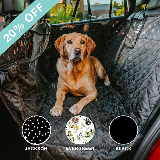 Back Seat Cover Bundle - Happy Pack