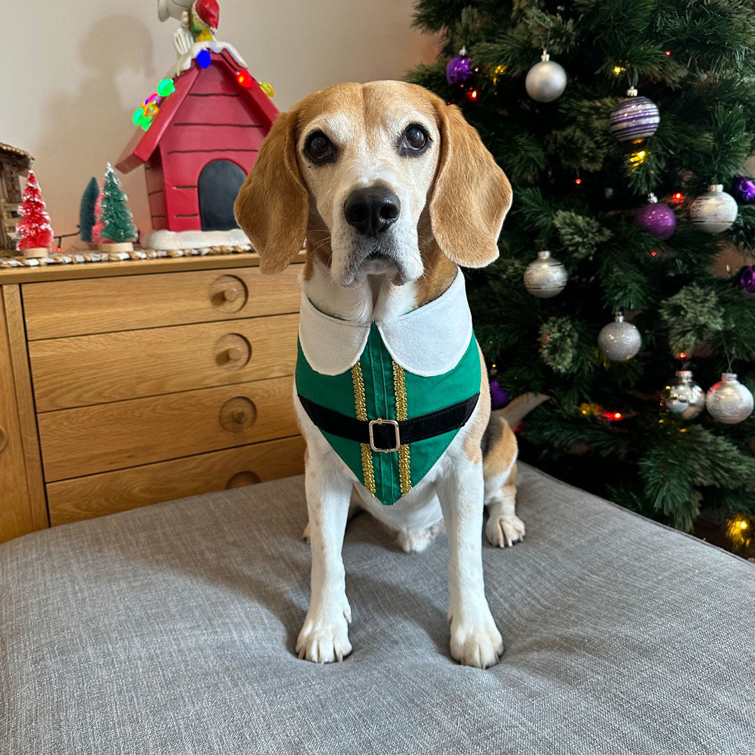 Buddy The Elf Bandana