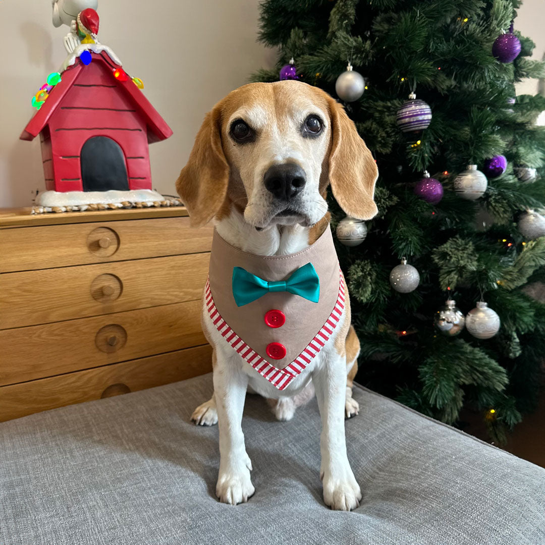 Gingerbread Bandana