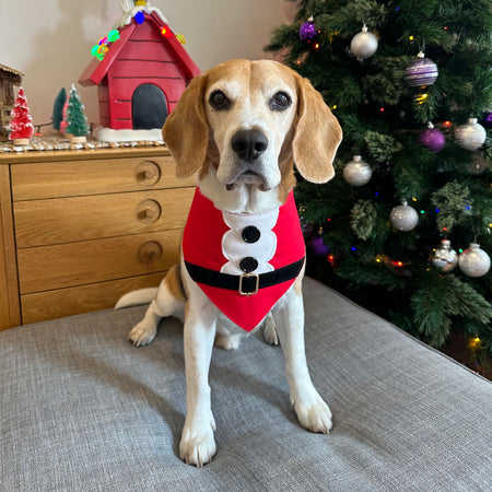 Santa Bandana