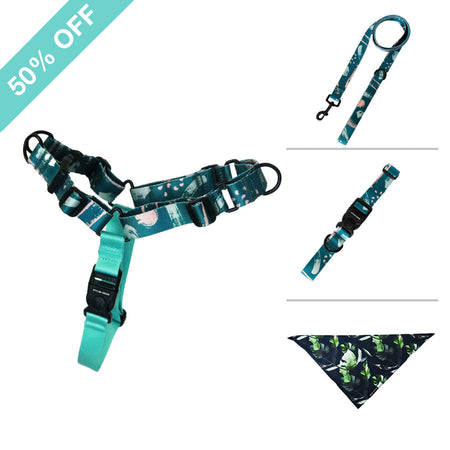 Nova Harness Bundle