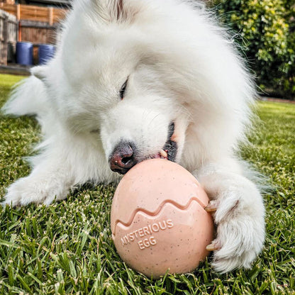 Beige Egg Rubber Food Enrichment Toy
