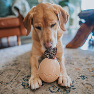 Beige Egg Rubber Food Enrichment Toy