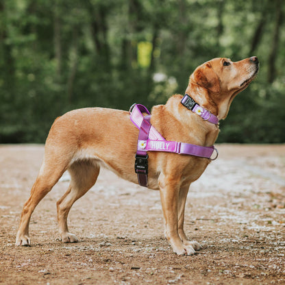 Personalised No-Pull Harness