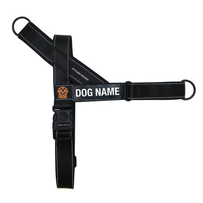 Personalised No-Pull Harness