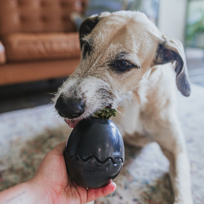 Black Egg Rubber Food Enrichment Toy