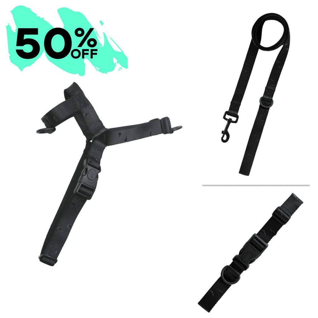 Blackout OG Harness Bundle