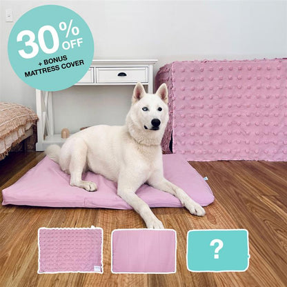 Outlet Crate Bundle - Bloom