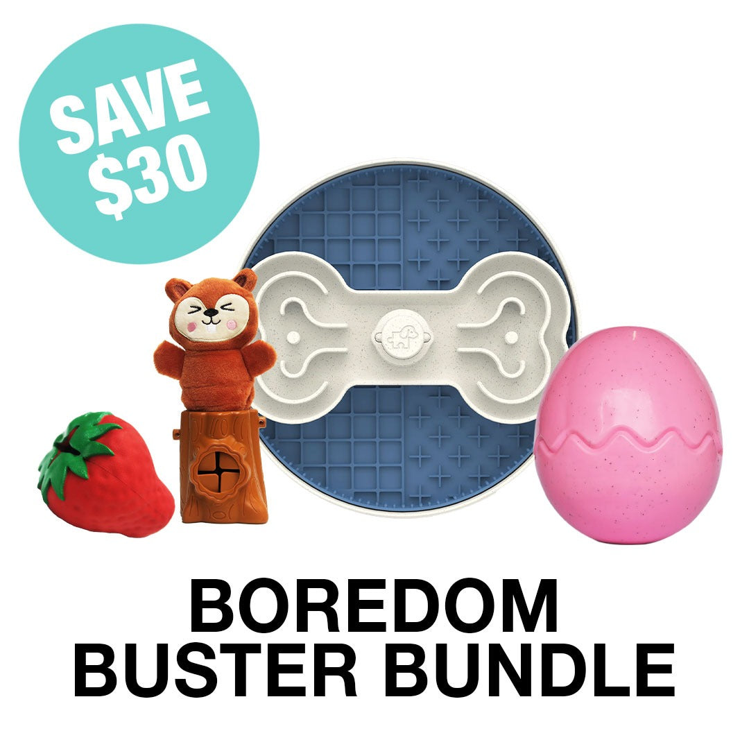 Boredom Buster Bundle