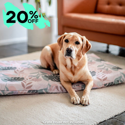 Mattress & Mattress Cover - SALE