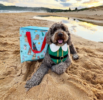 Christmas Festive Chillie Bag