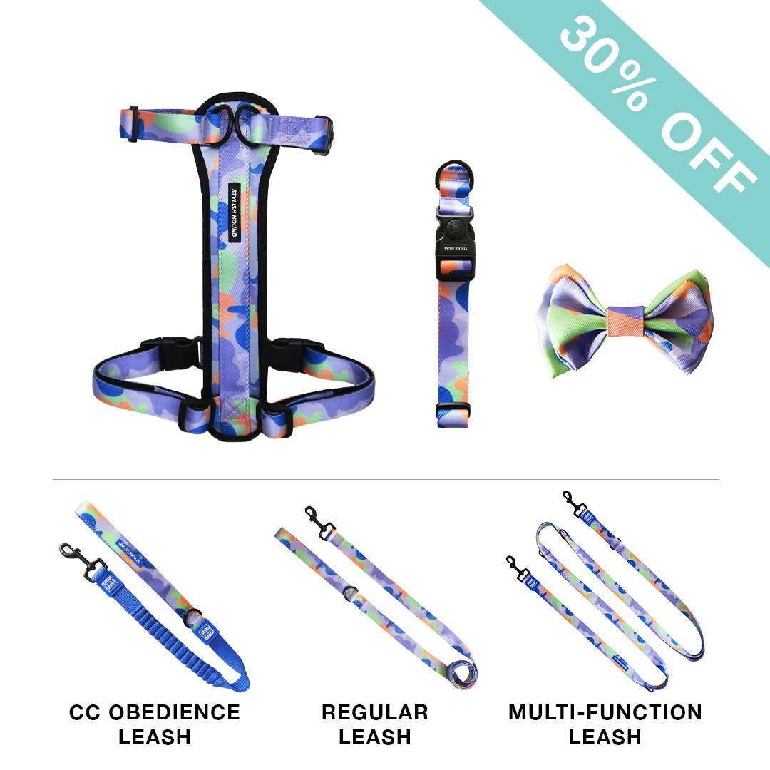 Chest Plate Harness + Leash + Collar + Bow Tie