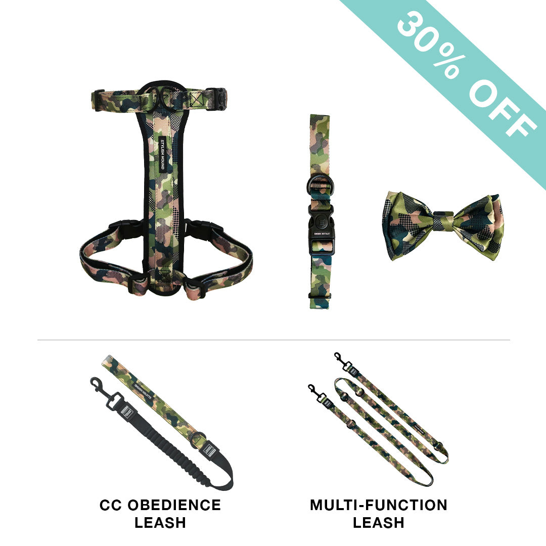 Chest Plate Harness + Leash + Collar + Bow Tie