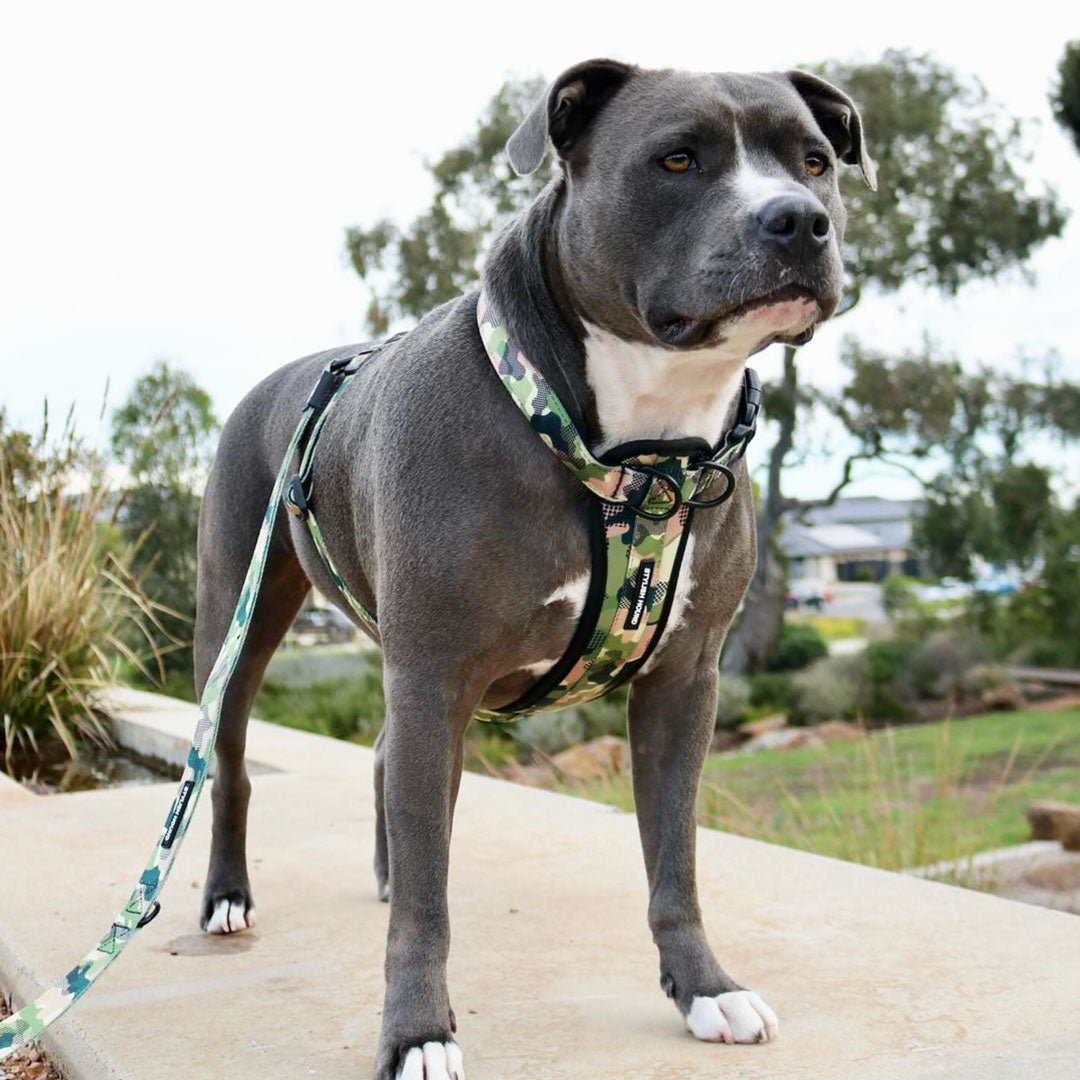 On Duty Explorer Chest Plate - On Duty