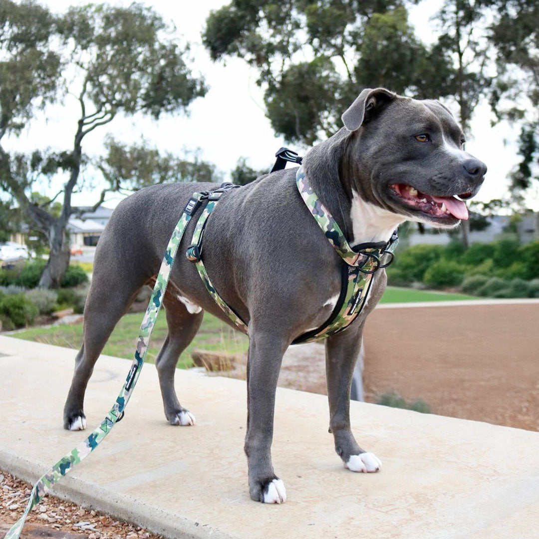 On Duty Explorer Chest Plate - On Duty