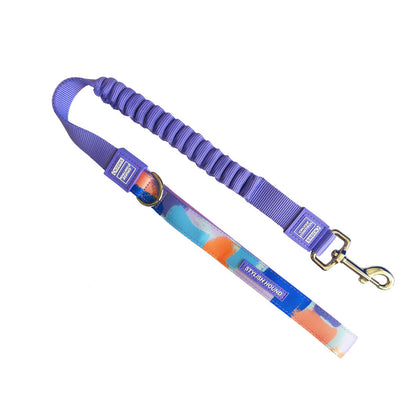 Chrome CC Leash - Chrome