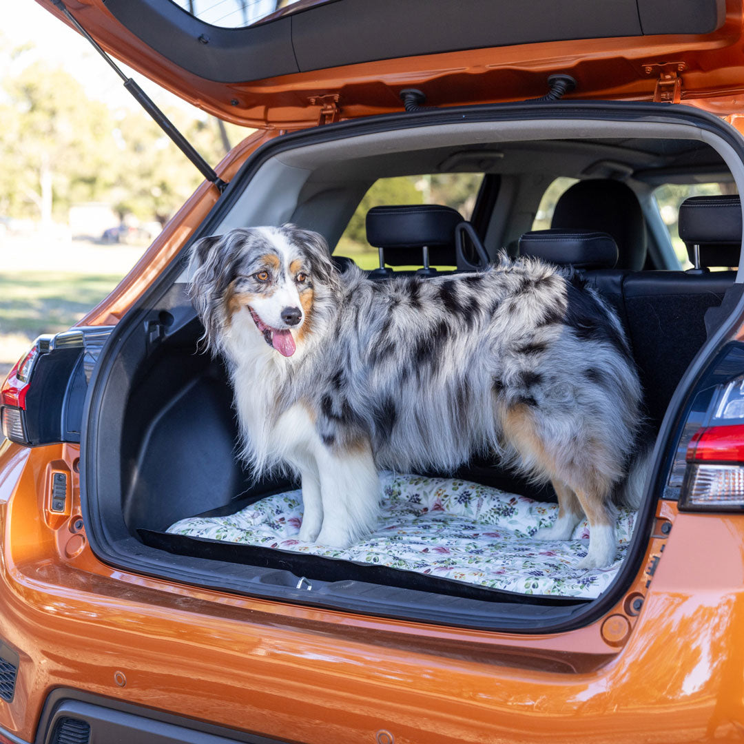 Evergreen Dog Boot Pad