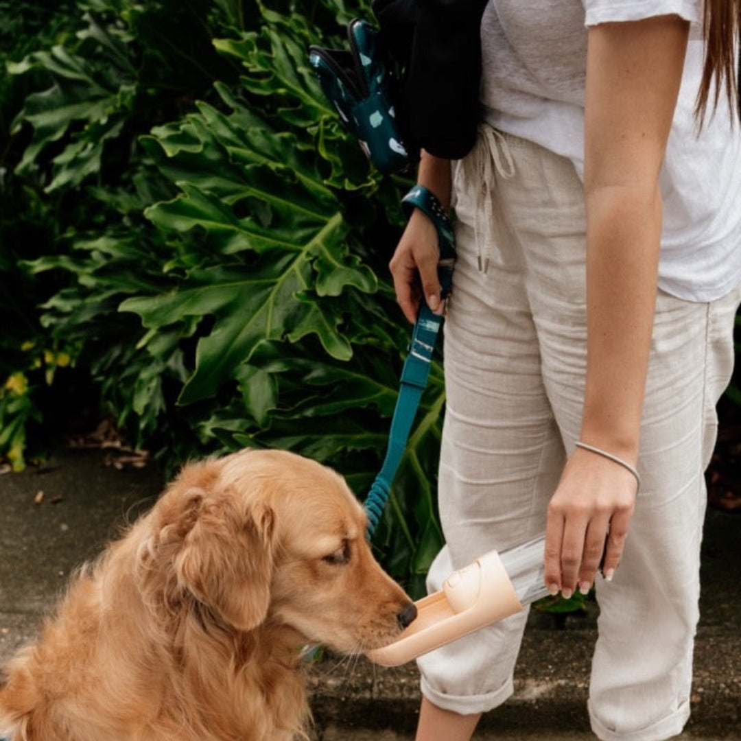Citrus Water Bottle - Citrus