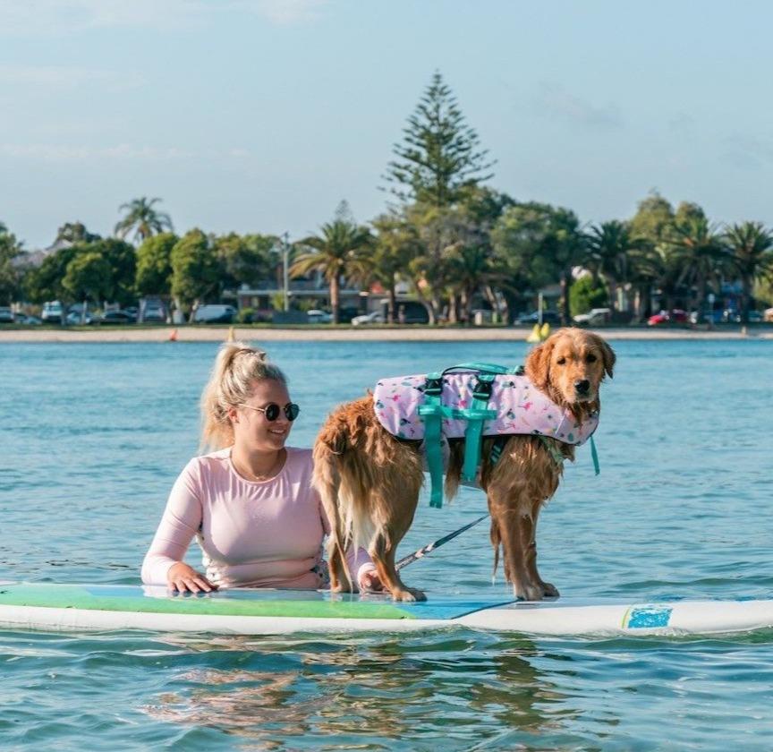 Tropical Dog Swim Jacket