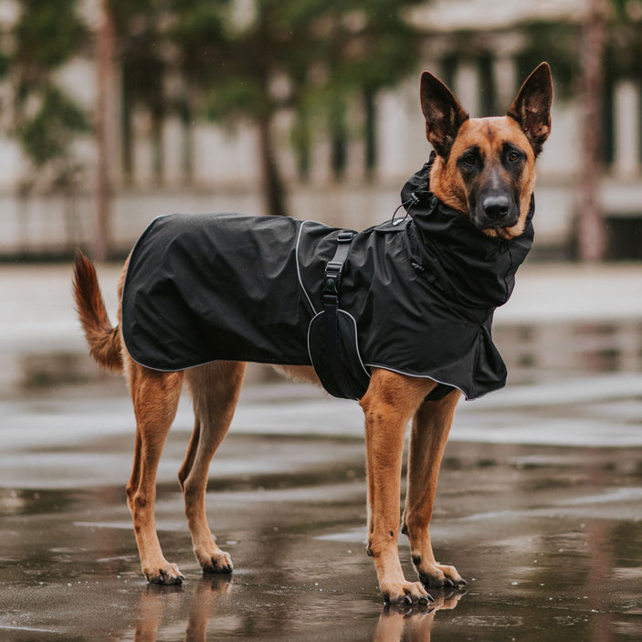 Black Raincoat