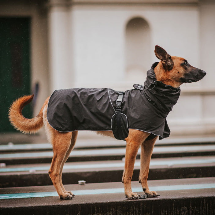 Black Raincoat