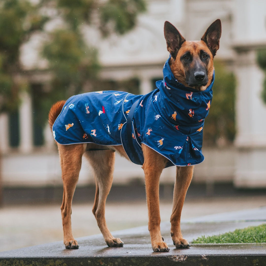 German shepherd waterproof on sale coat