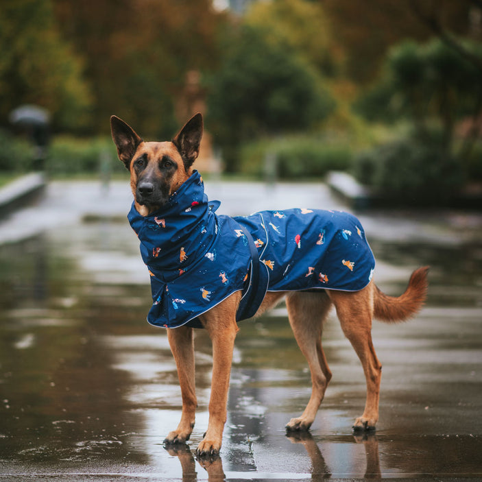 Dog Raincoat