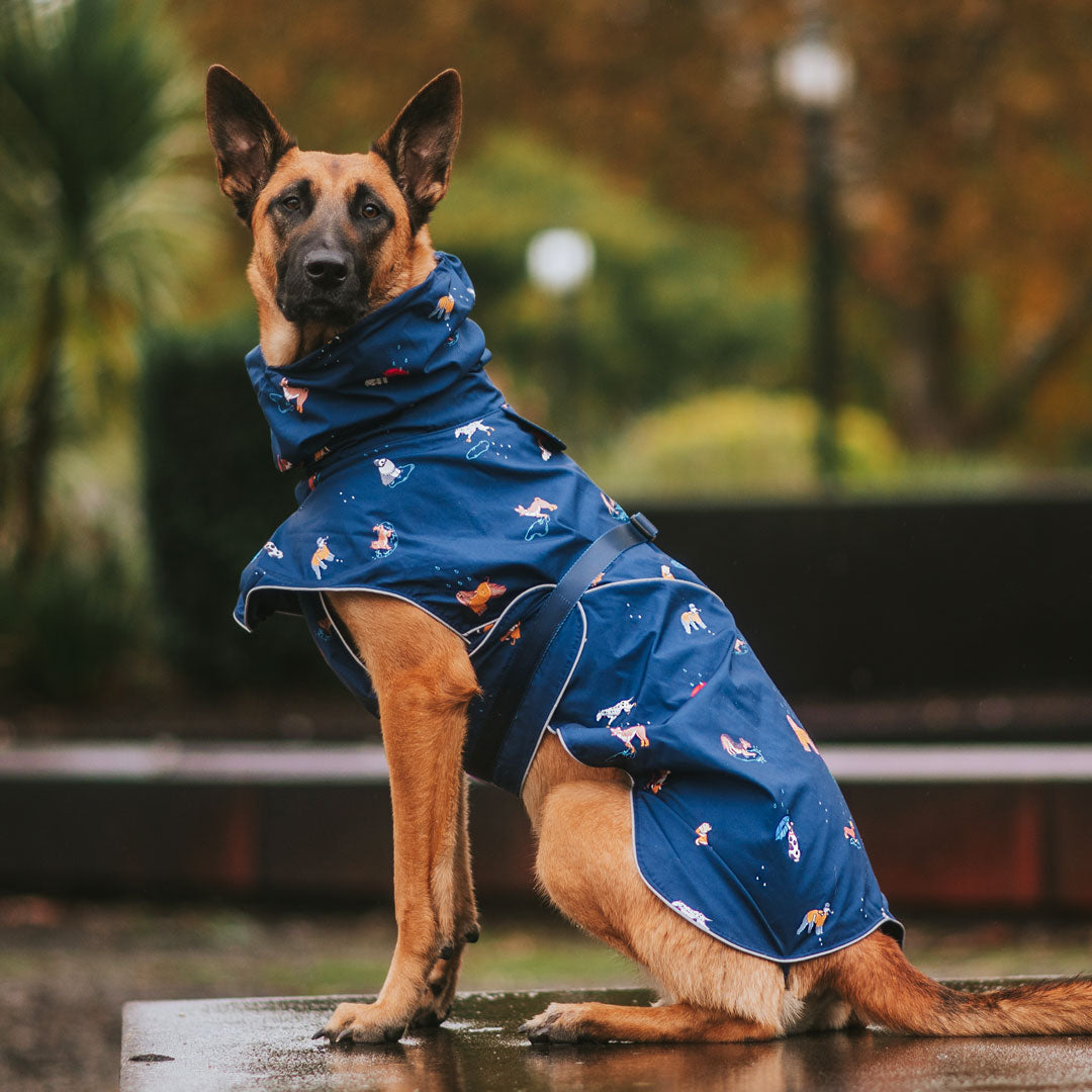 Dog Raincoat