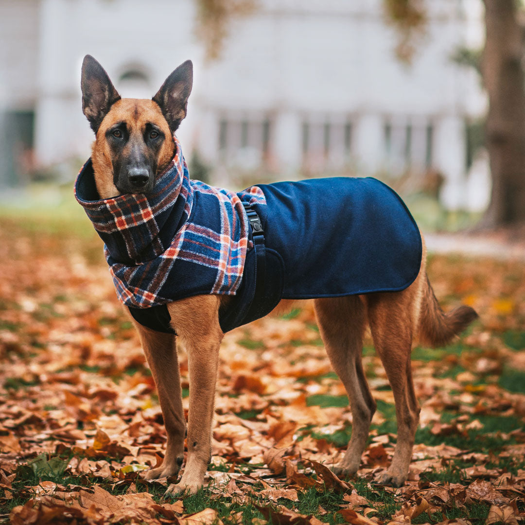 Navy Winter Coat (PRE-ORDER)