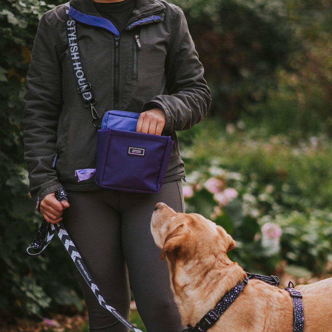 OG Training Treat Pouch