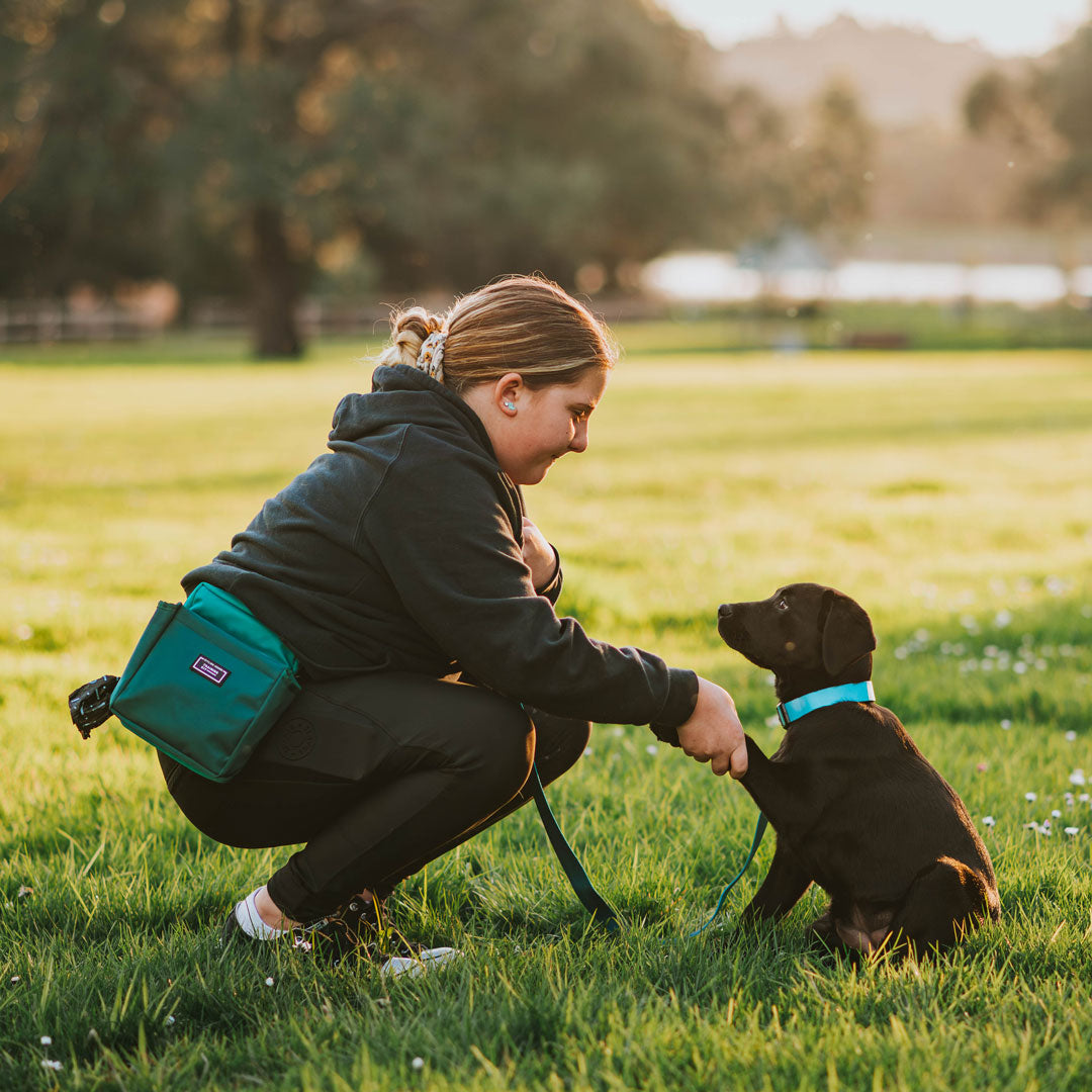 OG Training Treat Pouch
