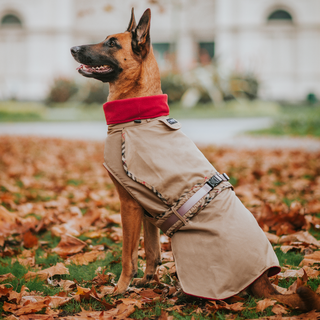 Tan London Trench Coat