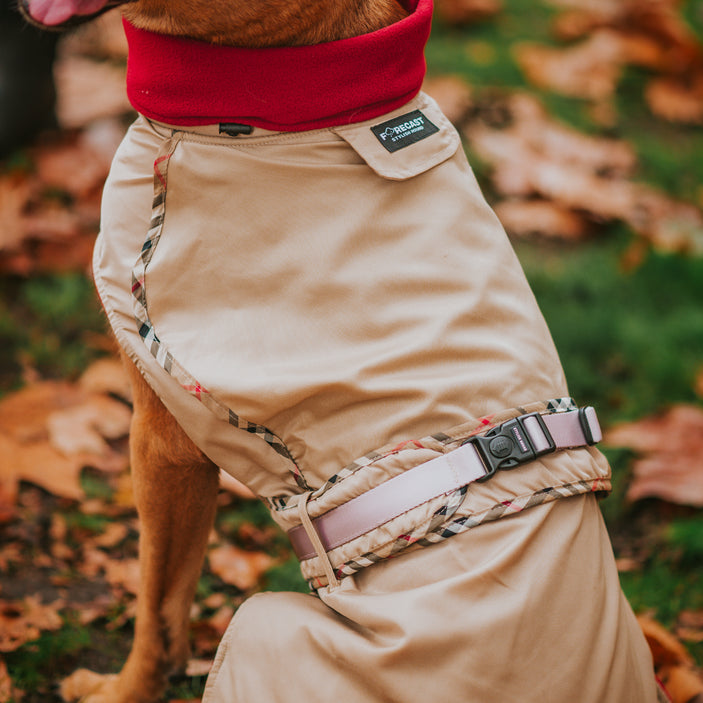 Tan London Trench Coat