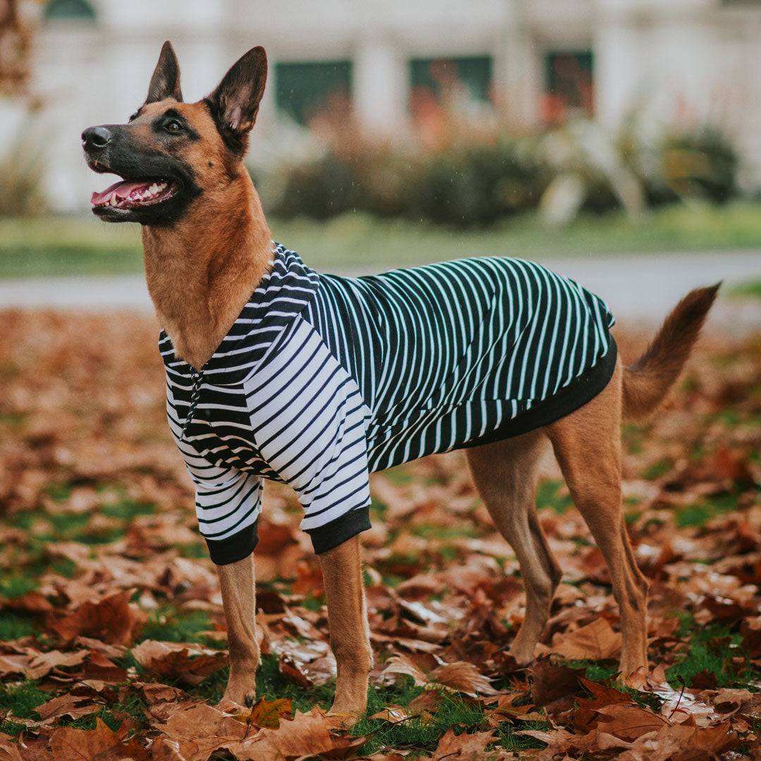 Black & White Stripe Hoodie