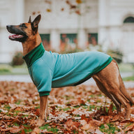 Spearmint Turtleneck Sweater