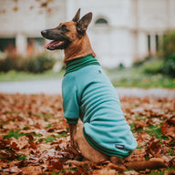 Spearmint Turtleneck Sweater