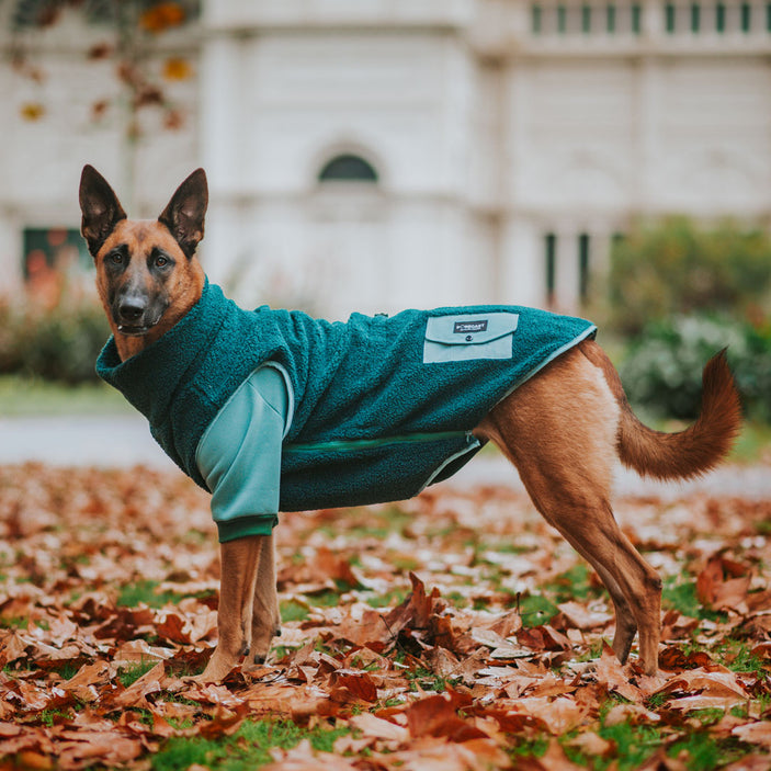 Spearmint Turtleneck Sweater