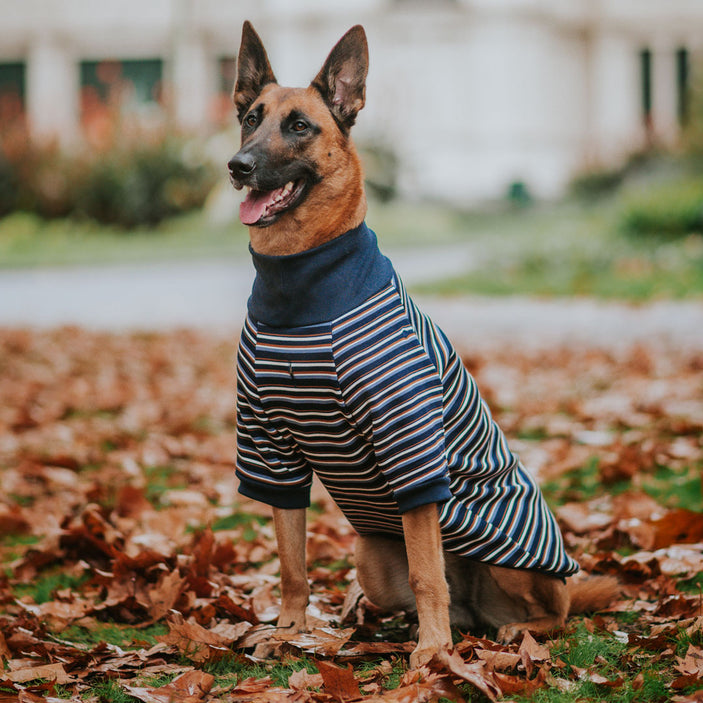 Hugo Stripe Turtleneck Sweater