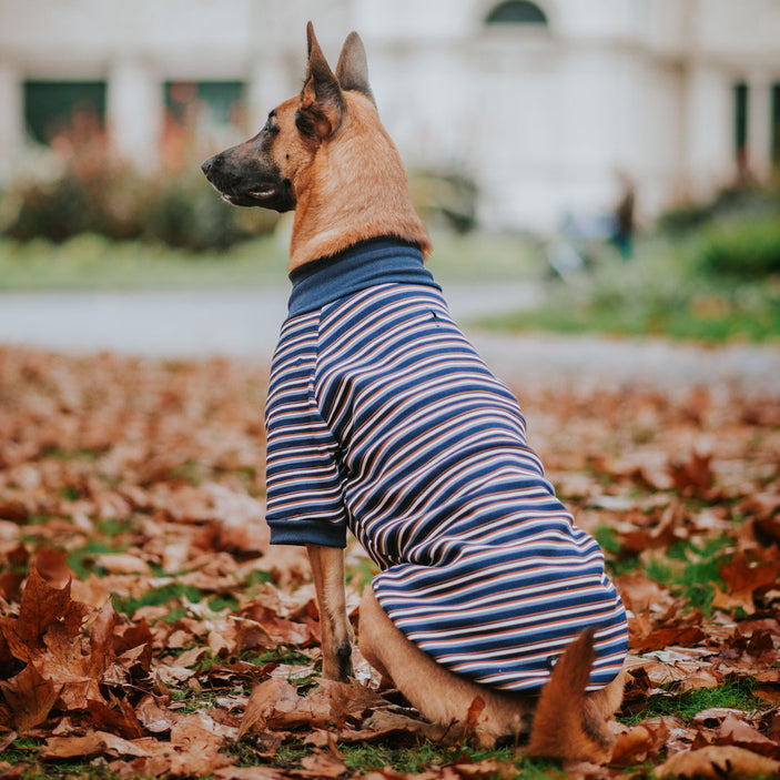 Hugo Stripe Turtleneck Sweater