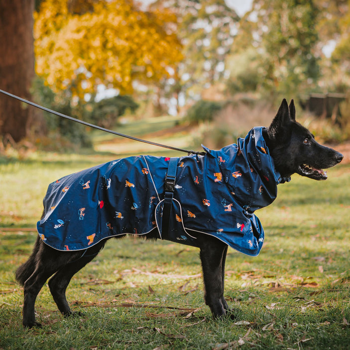 Dog Raincoat