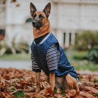 Hugo Stripe Turtleneck Sweater