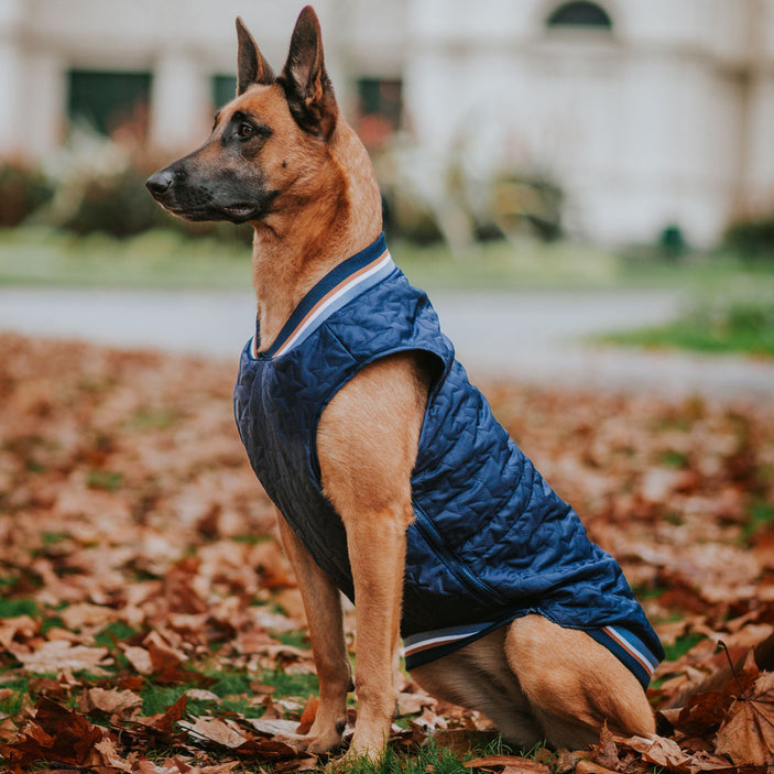 Navy Grand Slam Bomber Jacket