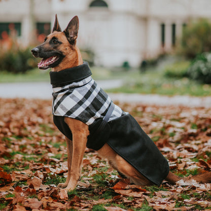 Black Jack Winter Coat (PRE-ORDER)