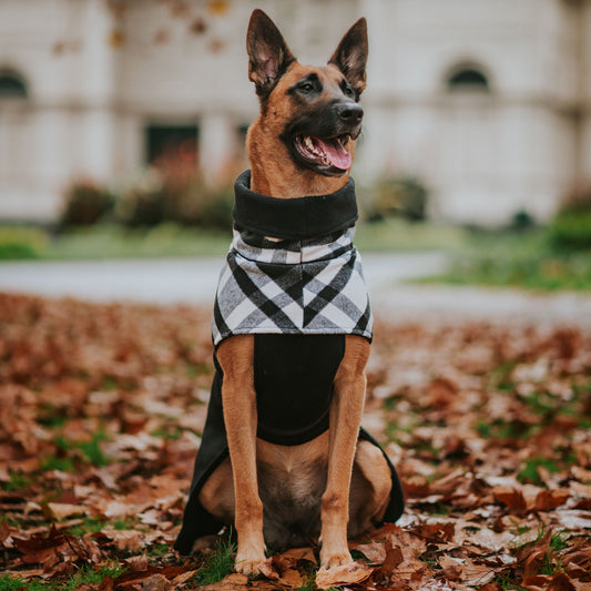 Black Jack Winter Coat (PRE-ORDER)