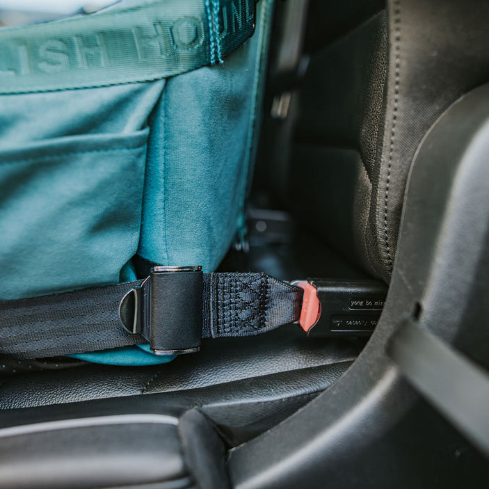 Car Seat and Travel Home Teal + Isofix Safety Belt