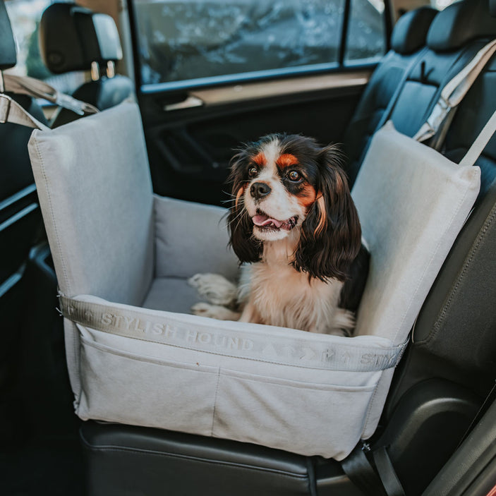 soft-grey-car-seat-and-travel-home