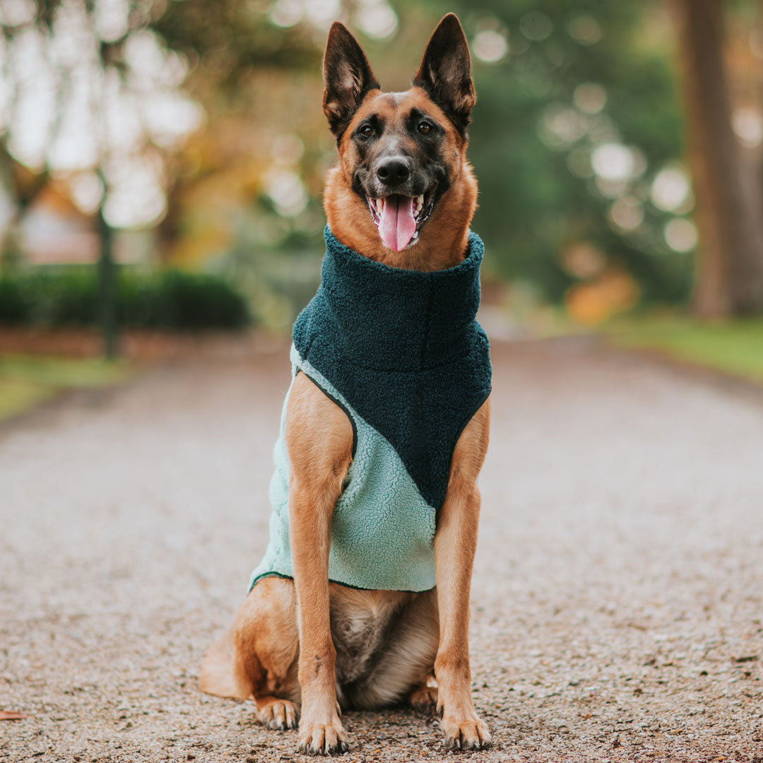 Tiffany Mint Fleece Vest (PRE-ORDER)