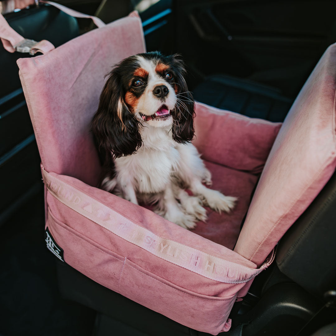 Car Seat and Travel Home